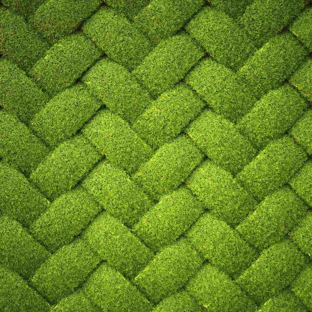 Last Product image