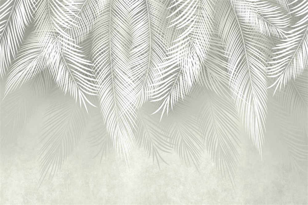 Last Product image