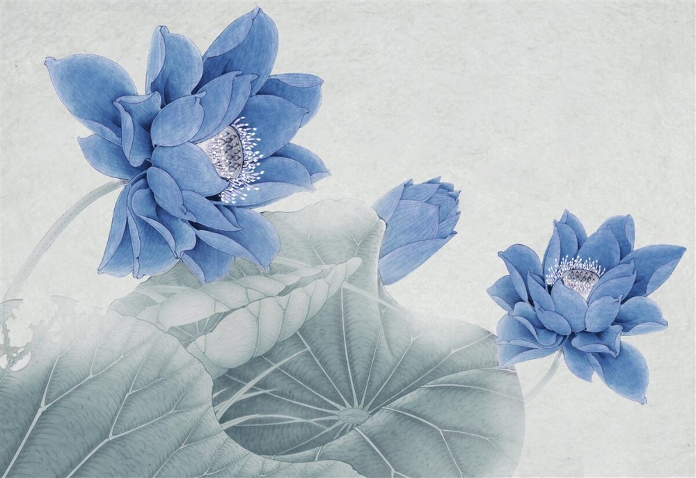 Last Product image
