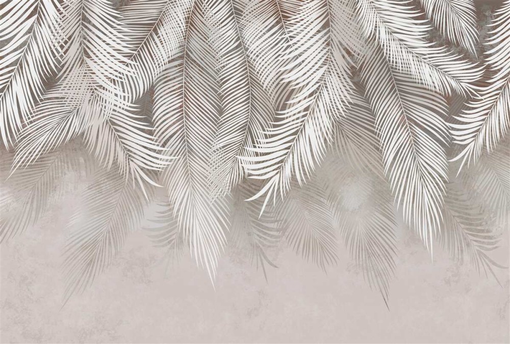 Last Product image