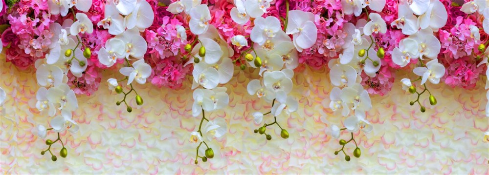 Last Product image