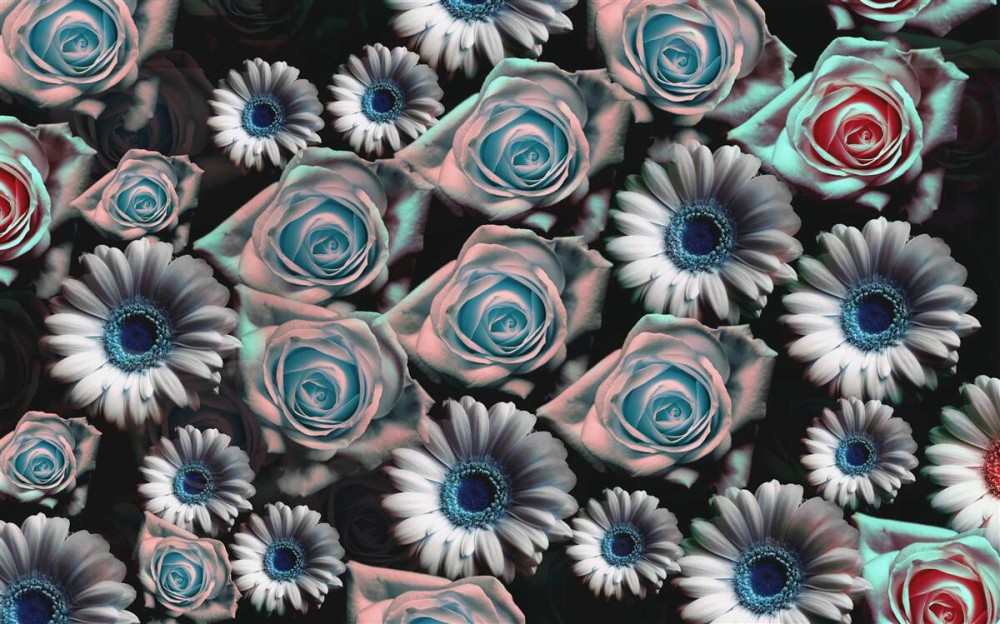 Last Product image