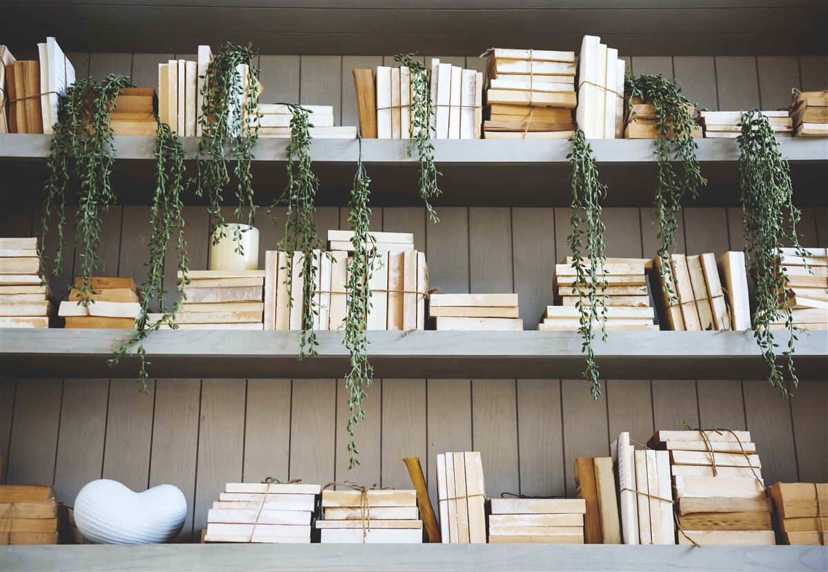 Papier peint des étagères avec des livres et des plantes vertes créent une atmosphère chaleureuse