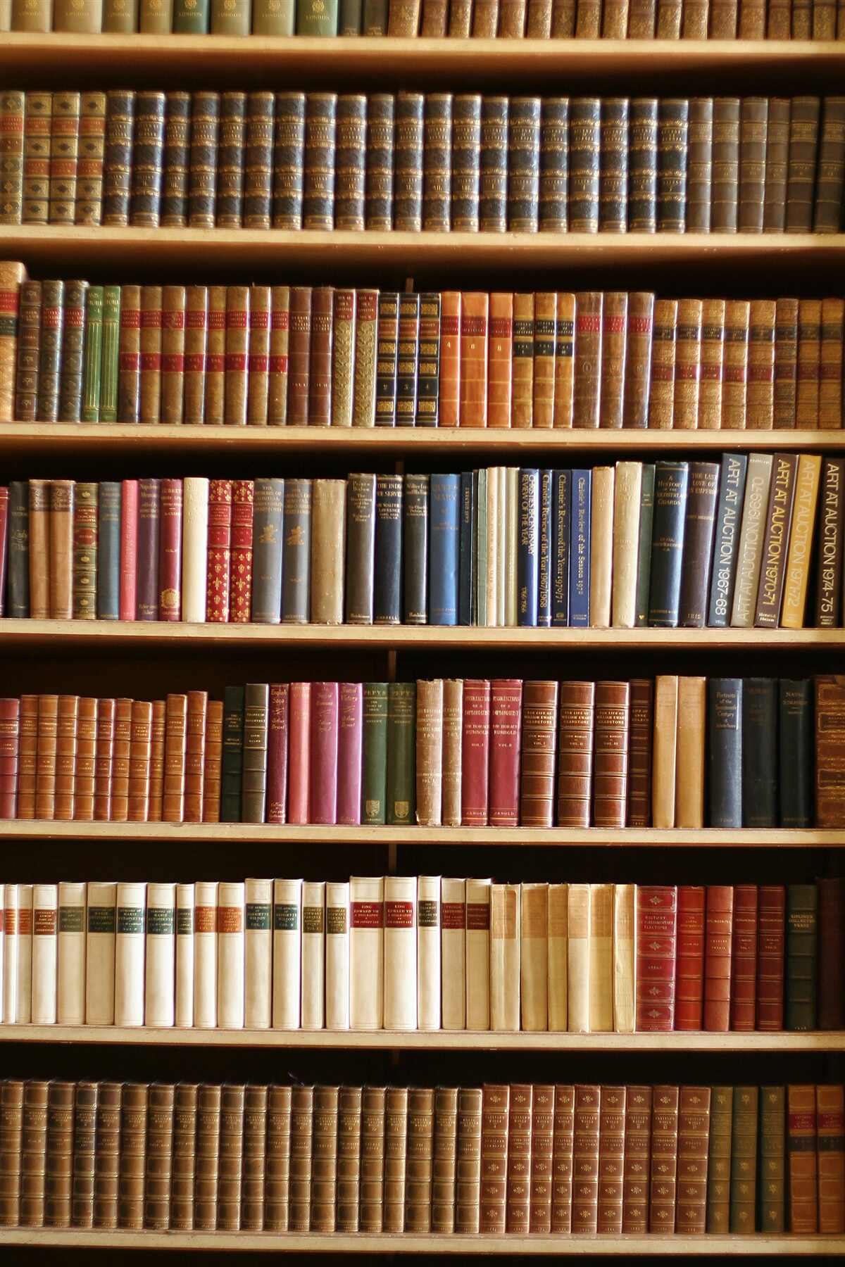 Papier peint il y a beaucoup de livres sur les étagères