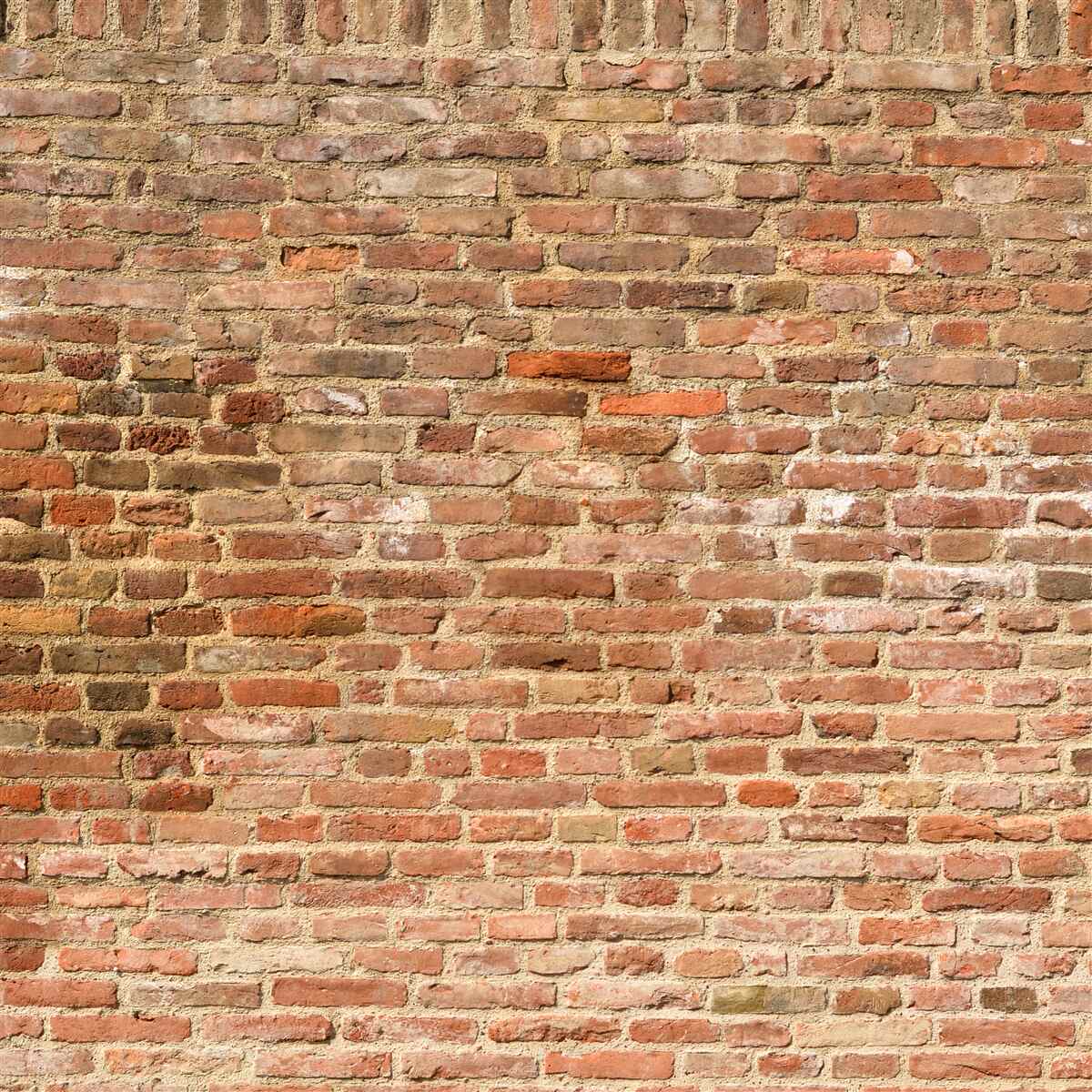 Papier peint vieux mur de briques brunes