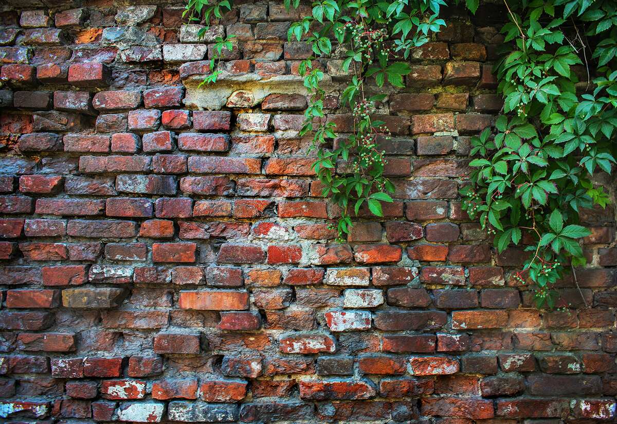 Papier peint le vieux mur de briques est décoré de verdure