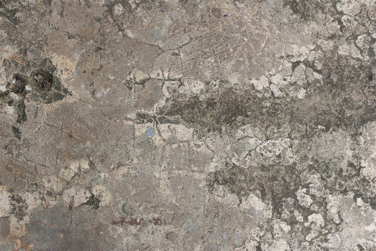 Papier peint roche granitique grise