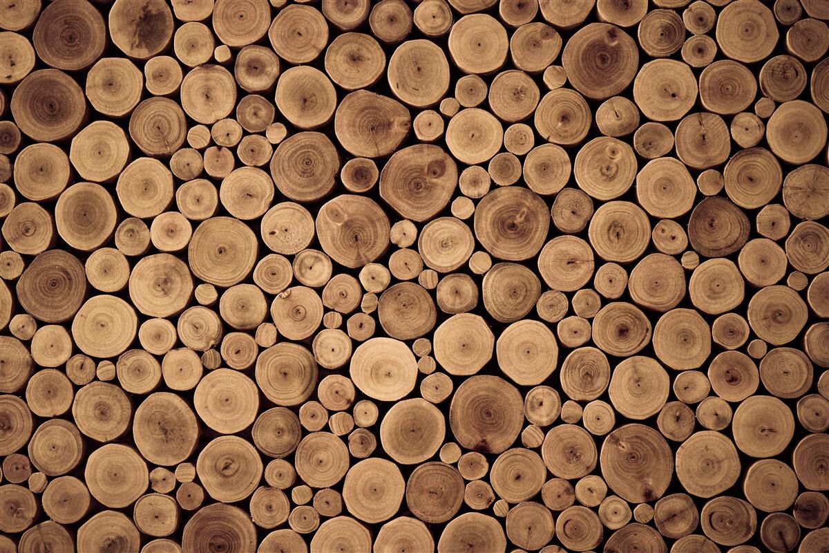 Papier peint tailler soigneusement les troncs d'arbres ronds
