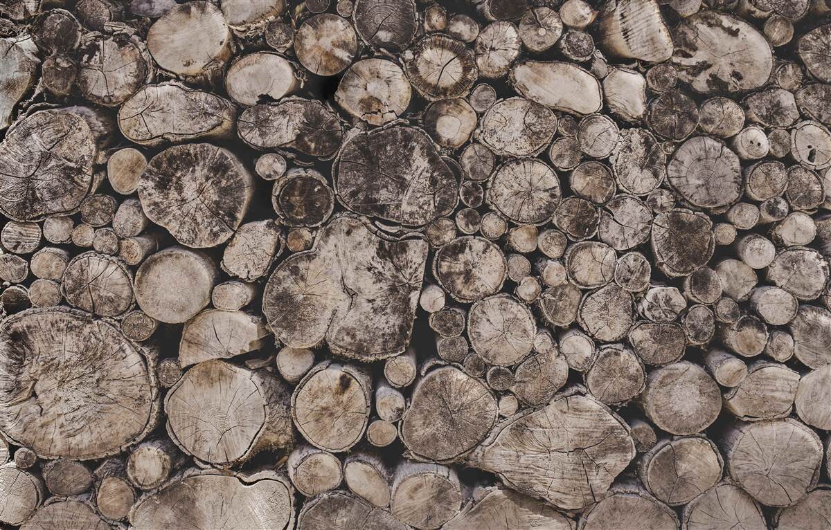 Papier peint les morceaux de bois impurs