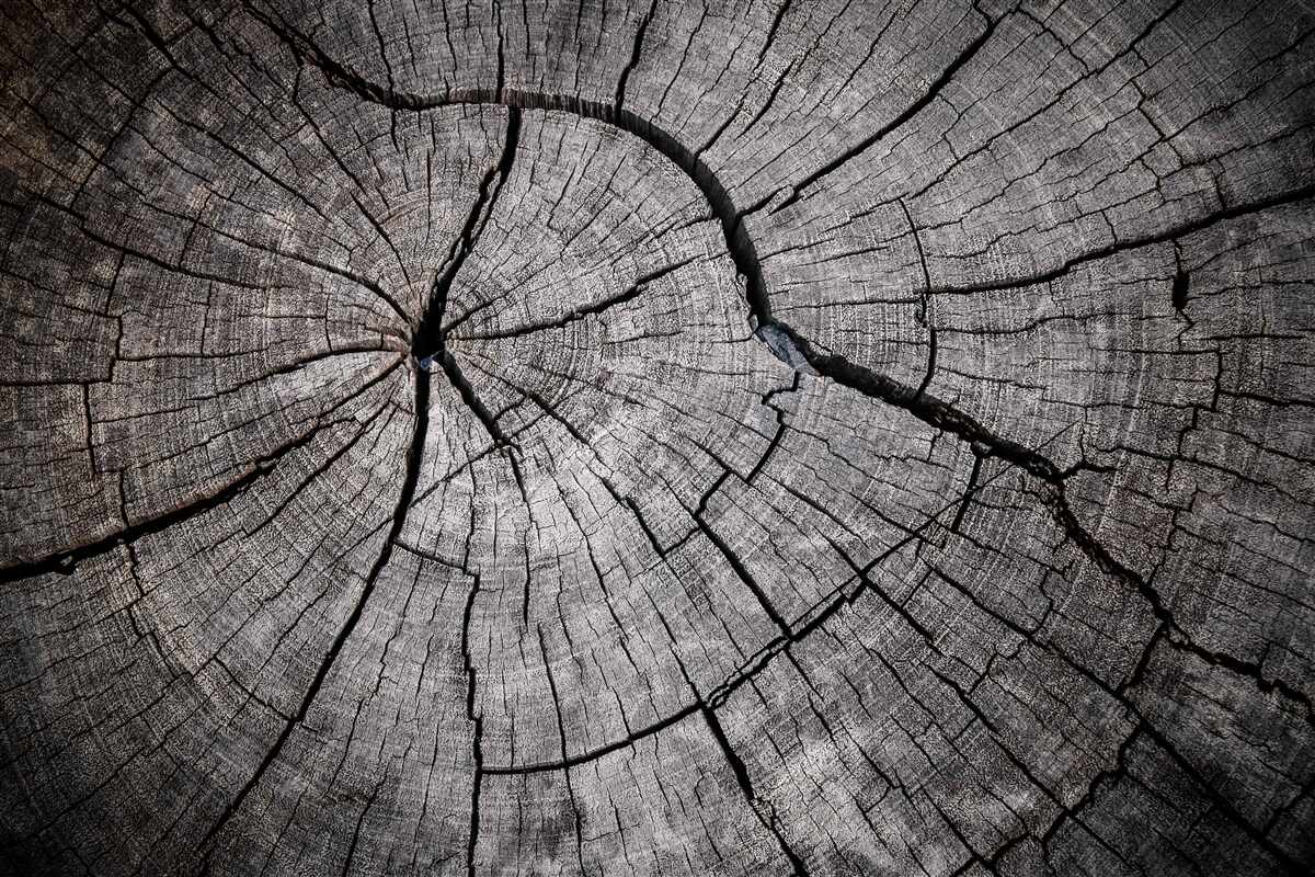 Papier peint des fissures traversent le vieux bois