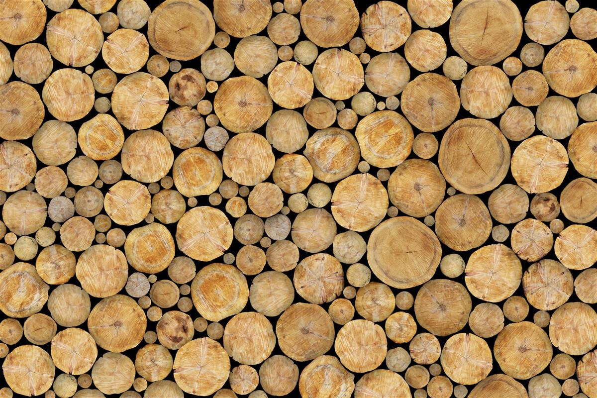 Papier peint un nombre important d'arbres ont été abattus