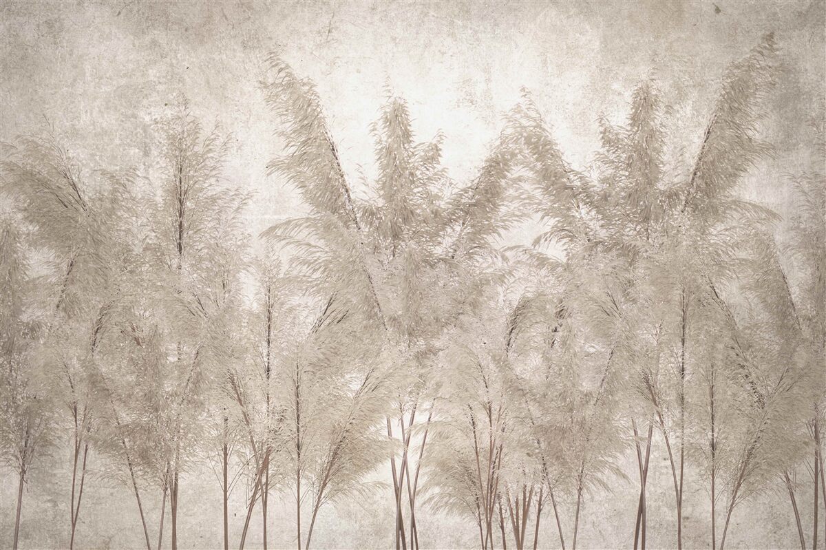 Papier peint matinée tropicale dans le brouillard