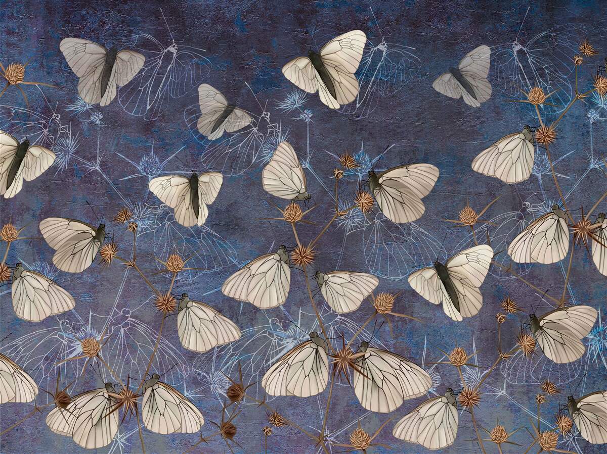 Papier peint papillons blancs pendant la période de végétation