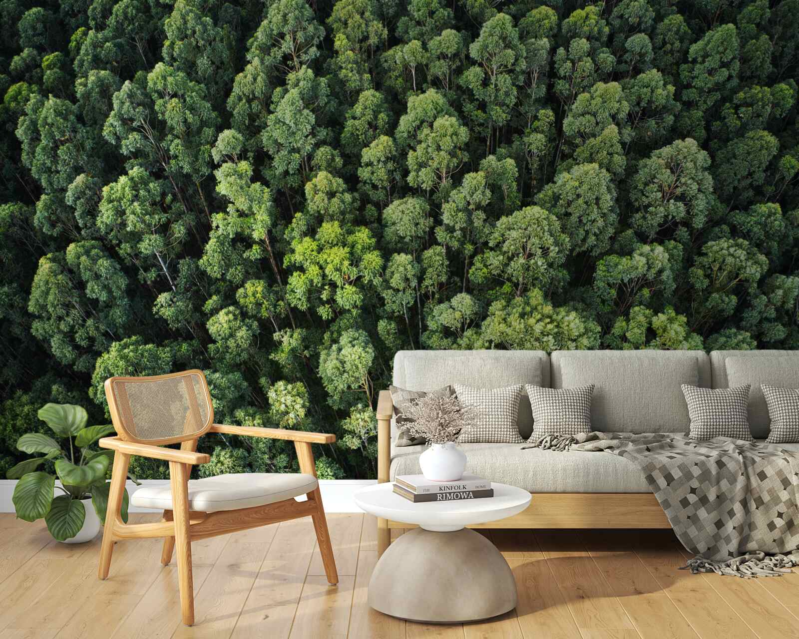 Papier peint arbres forestiers avec des couronnes vertes