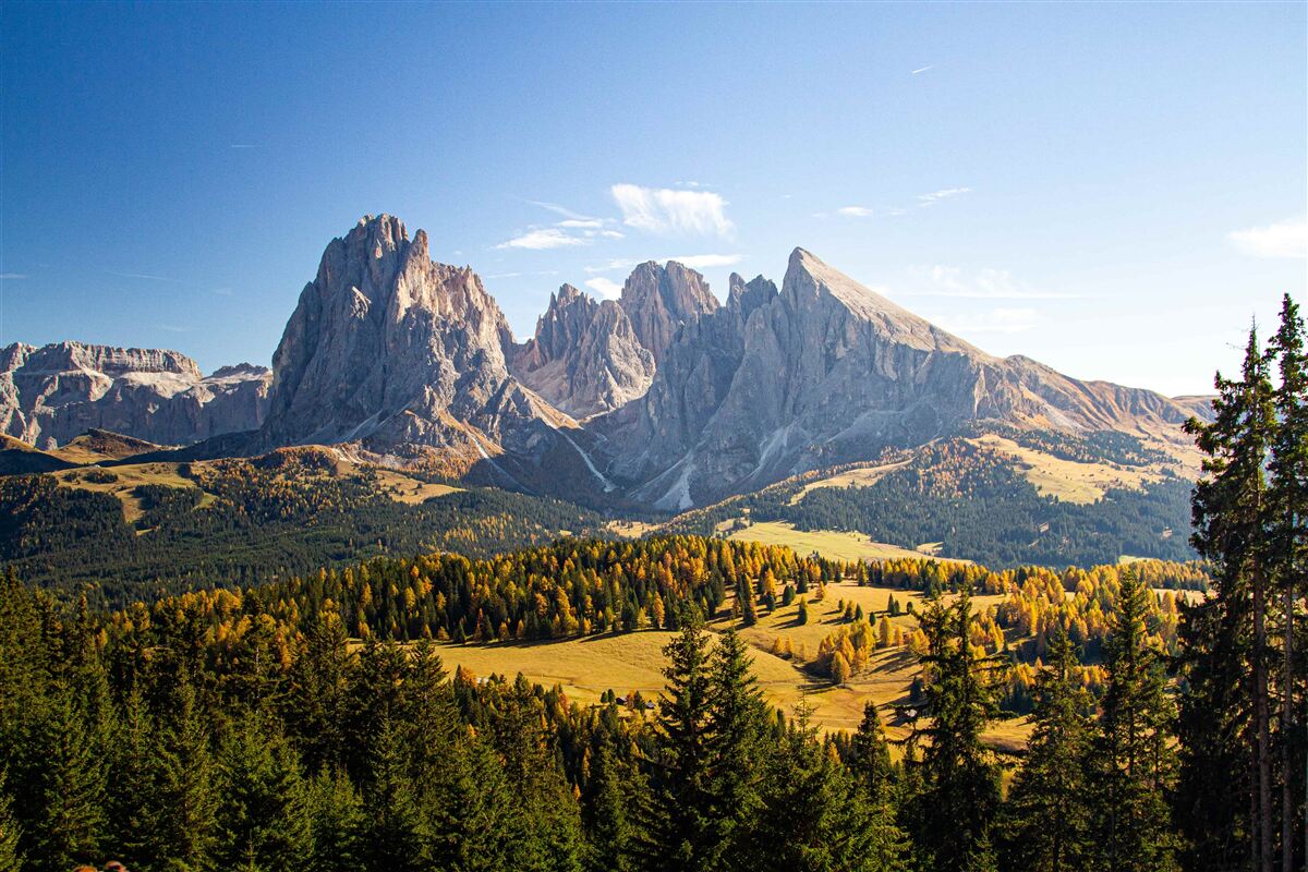 Papier peint forêt dense et montagnes langkofel impressionnantes