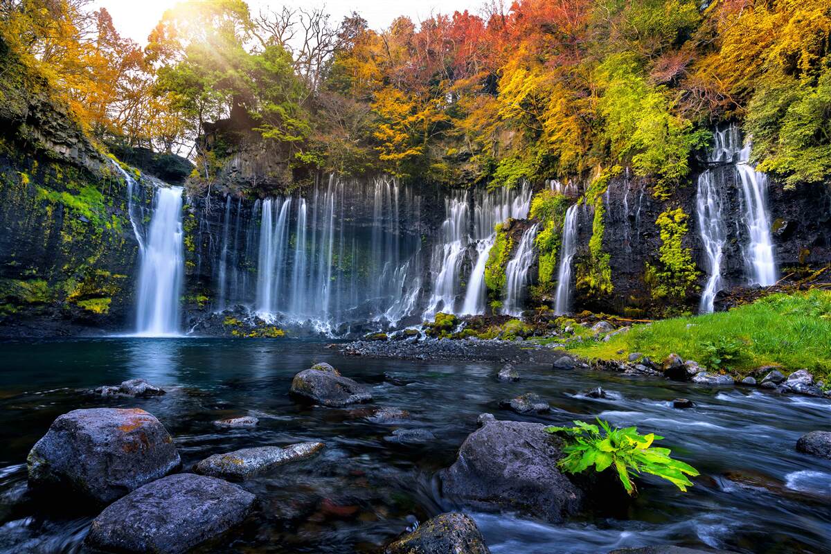 Papier peint les chutes d'eau idylliques de shiraito