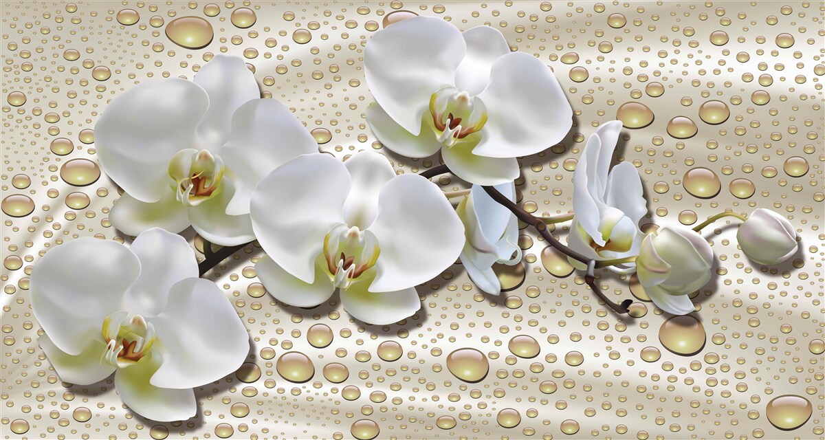 Papier peint branche d'orchidée blanche humidifiée par la pluie sur soie