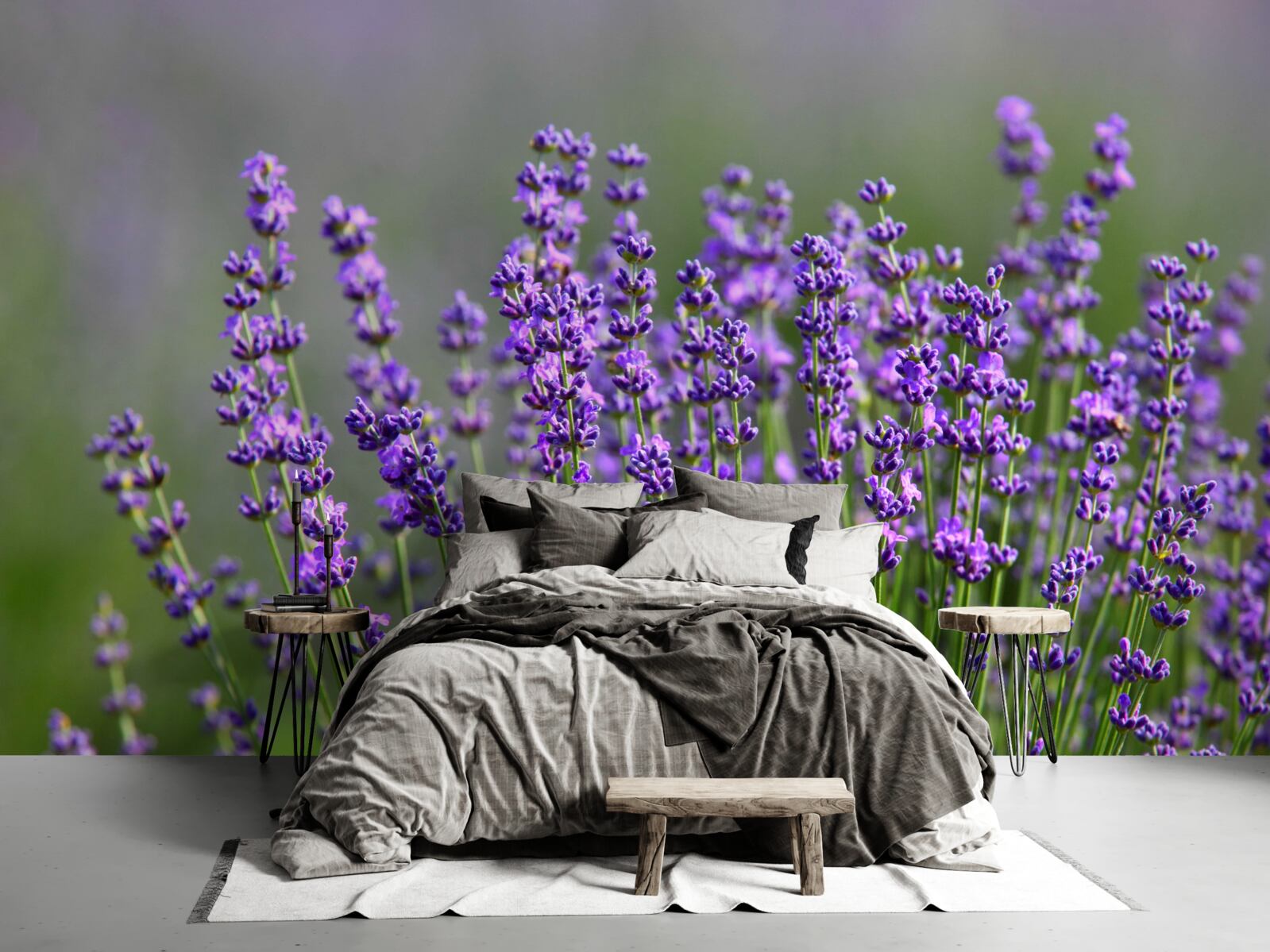 Papier peint couleur lavande-violette
