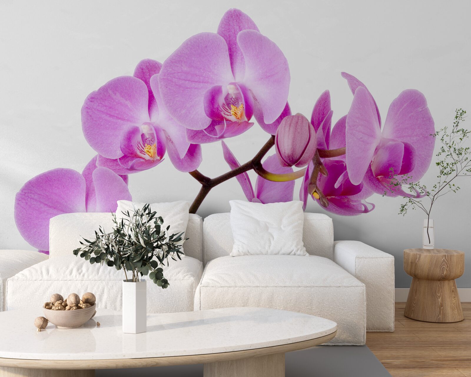 Papier peint orchidée aphrodite violette