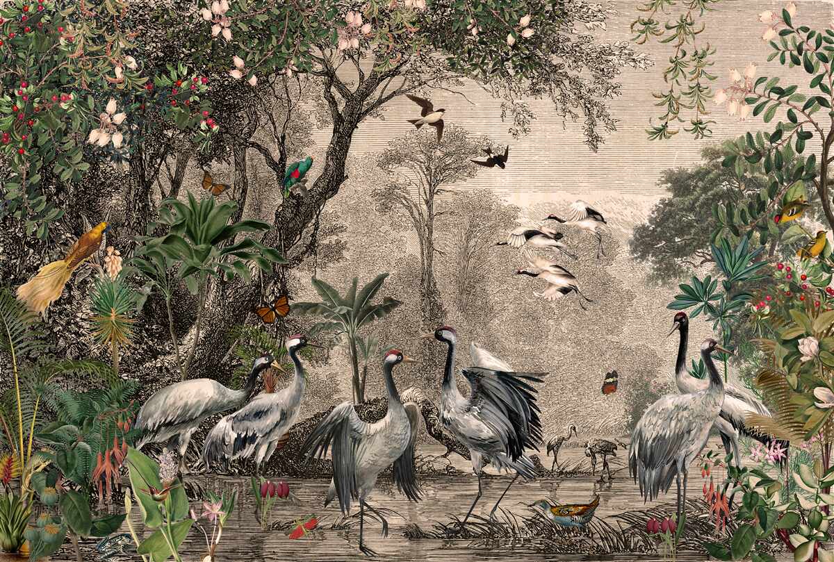Papier peint groupe de grues près d'un étang forestier