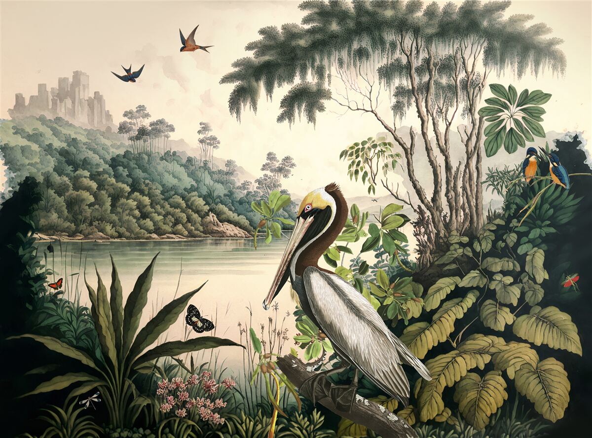 Papier peint le pélican cherche de la nourriture dans les eaux du lac