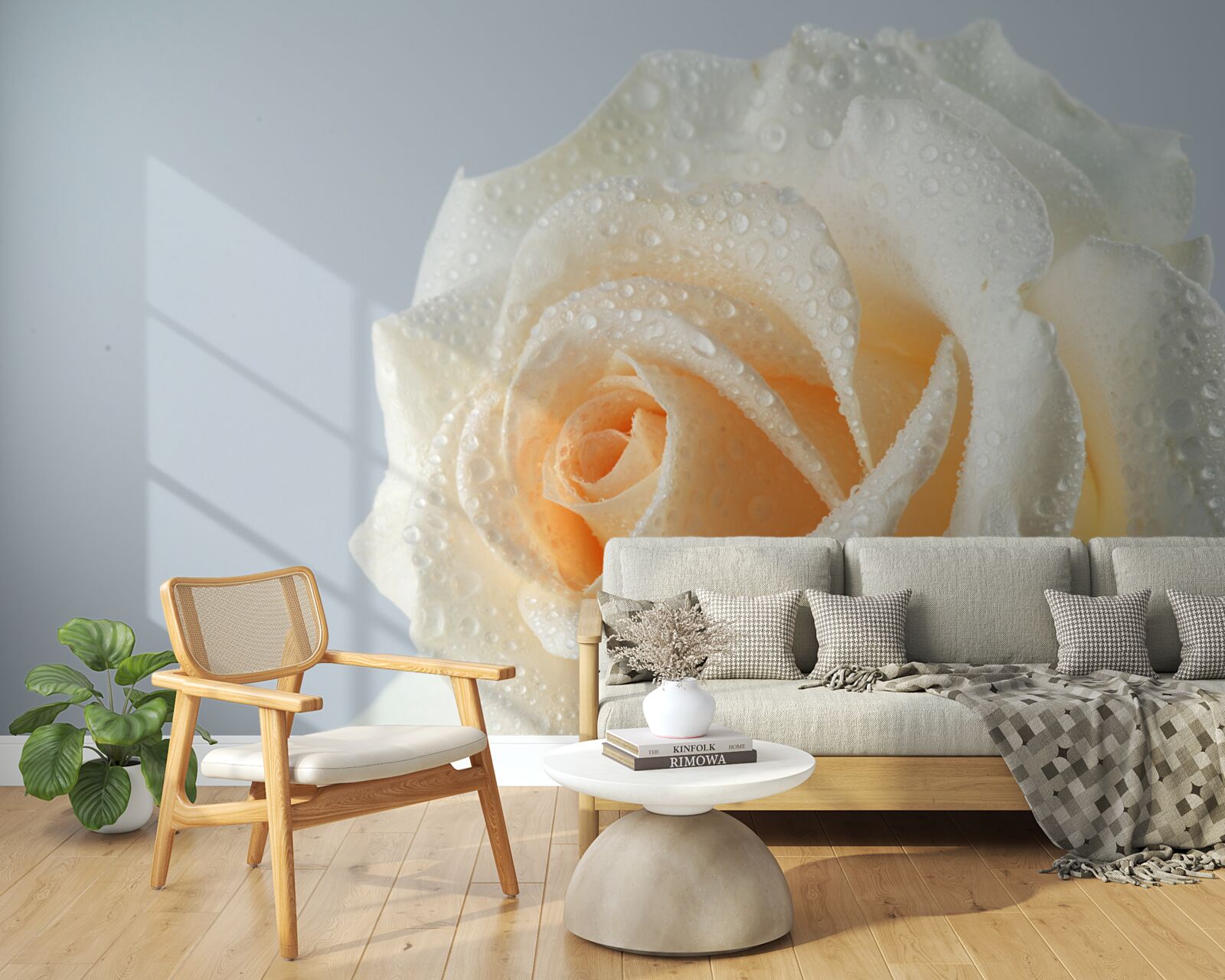 Papier peint gouttes d'eau sur une fleur de rose crème