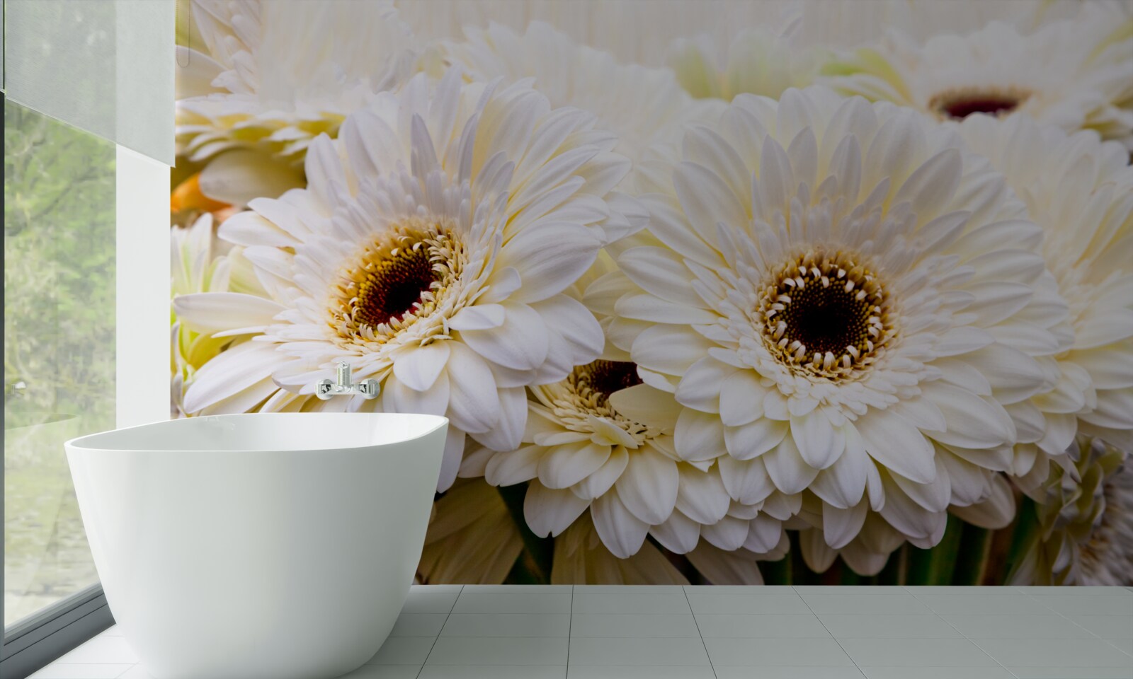 Papier peint collection de gerberas blancs comme neige