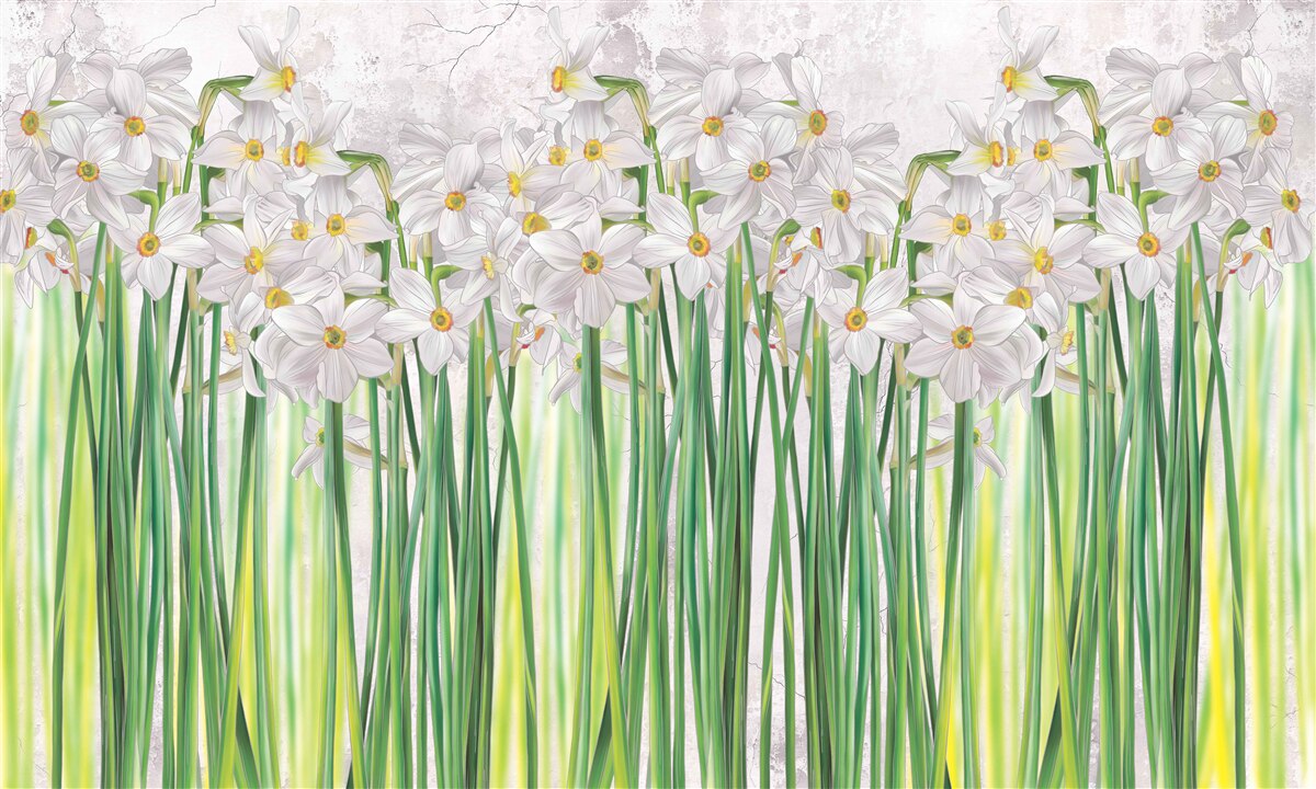 Papier peint jonquilles blanches à longues pattes