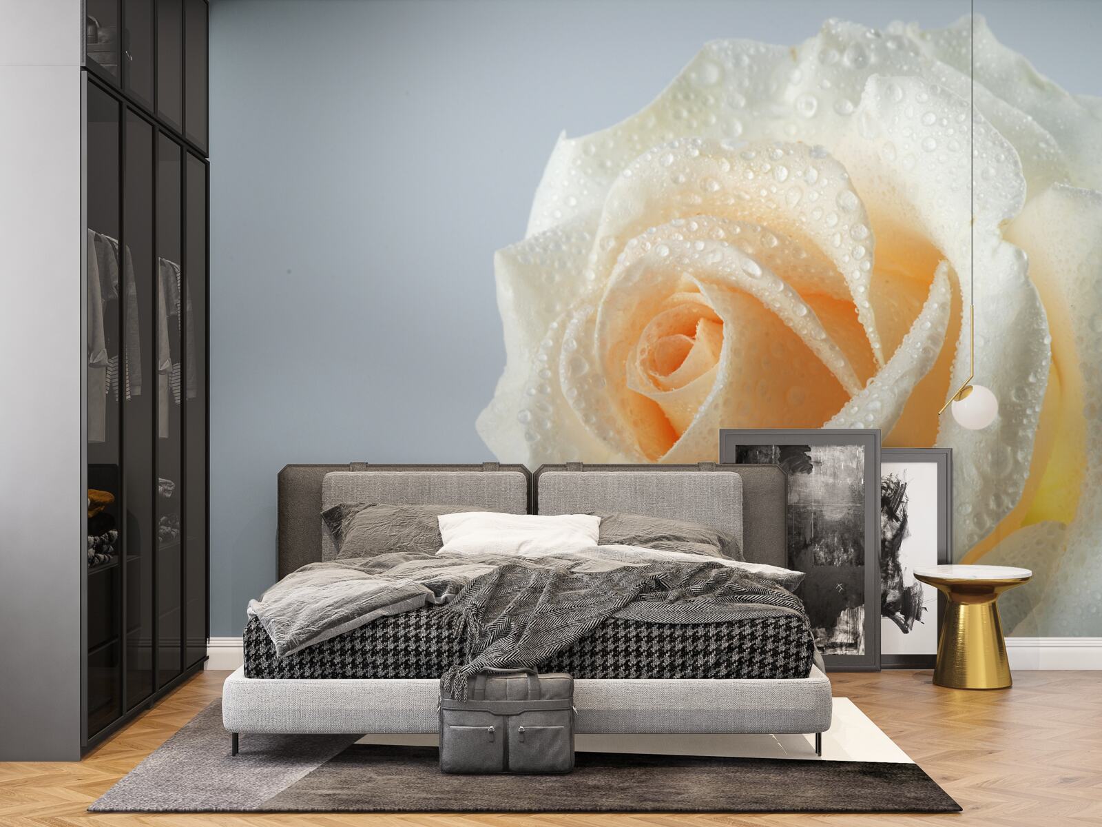 Papier peint la rose est humide et crémeuse