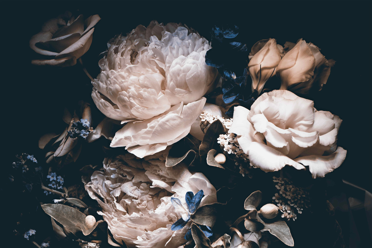 Papier peint le roman noir des fleurs