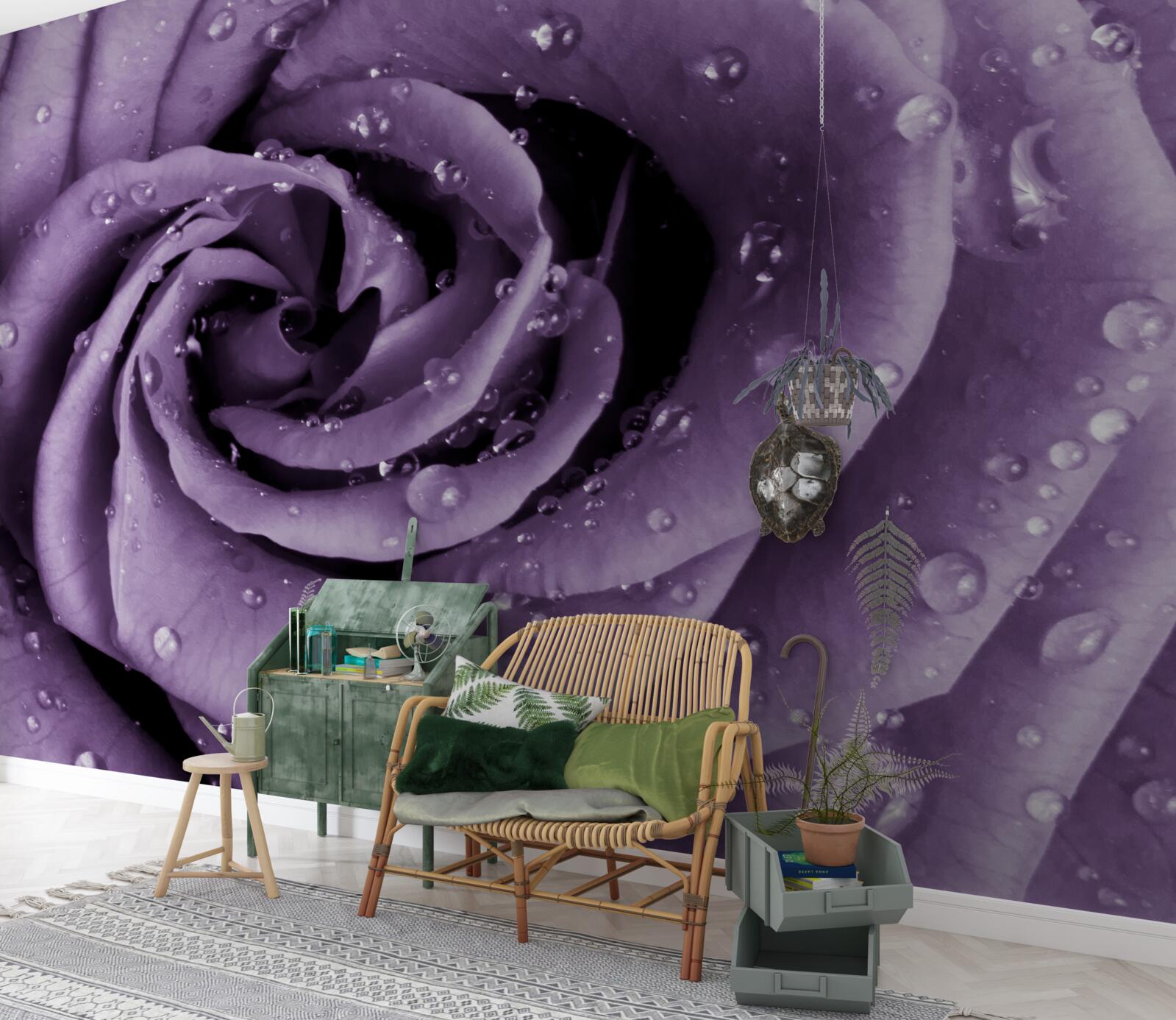 Papier peint rosée du matin sur une rose violette