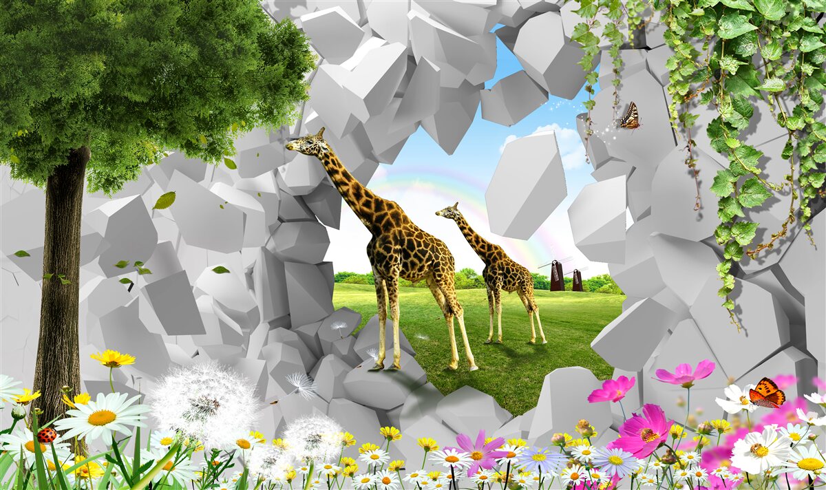 Papier peint dans la nature, les girafes essaient d'atteindre les arbres