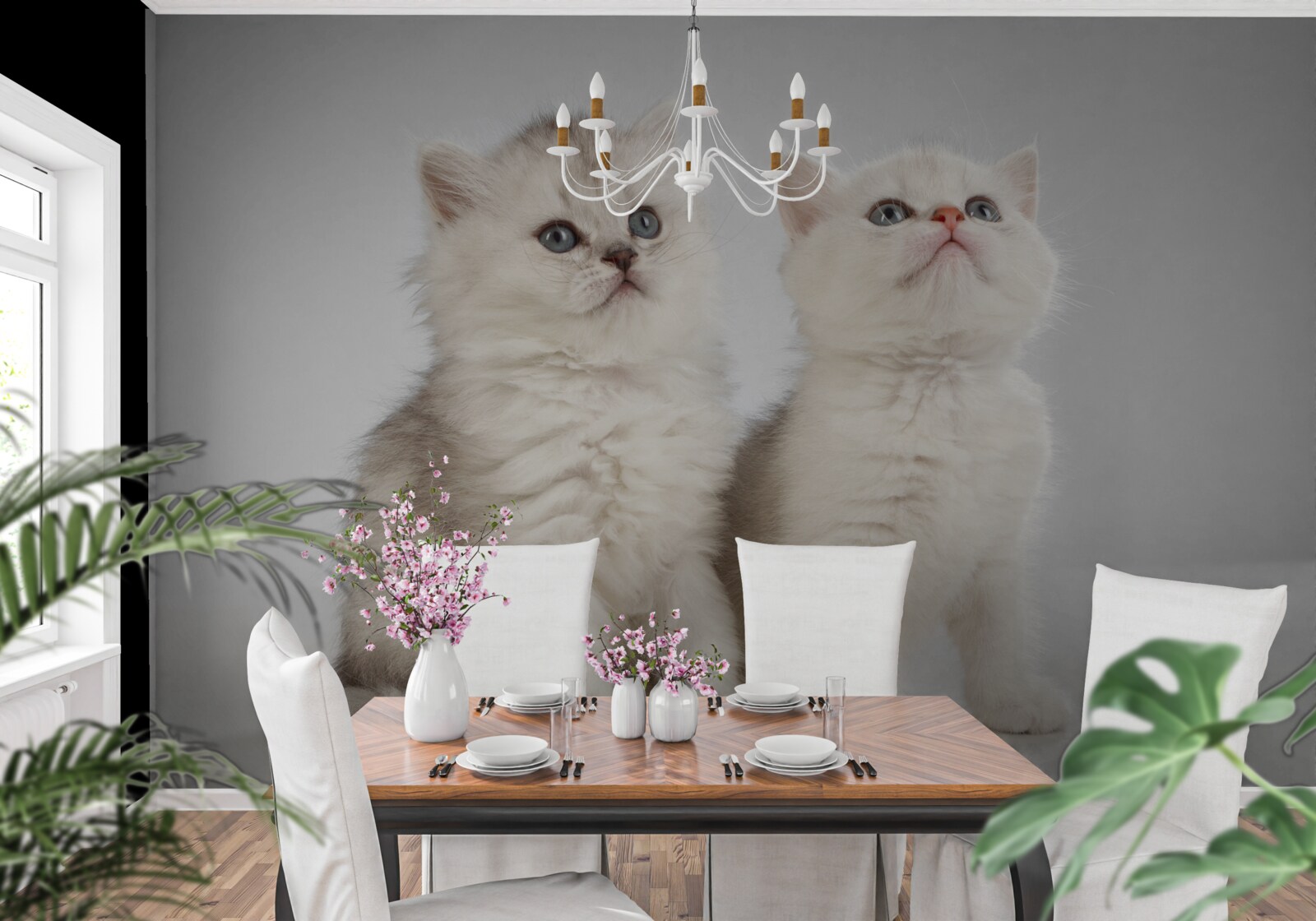 Papier peint observer deux petits chats
