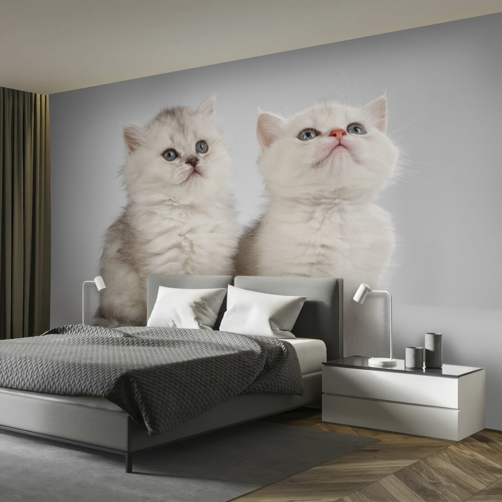Papier peint observer deux petits chats