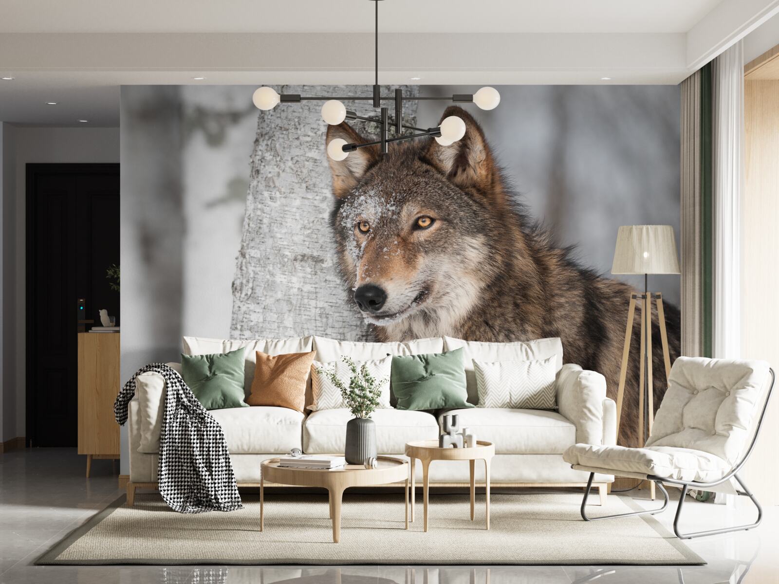 Papier peint loup de couleur cannelle embusqué près d'un bouleau