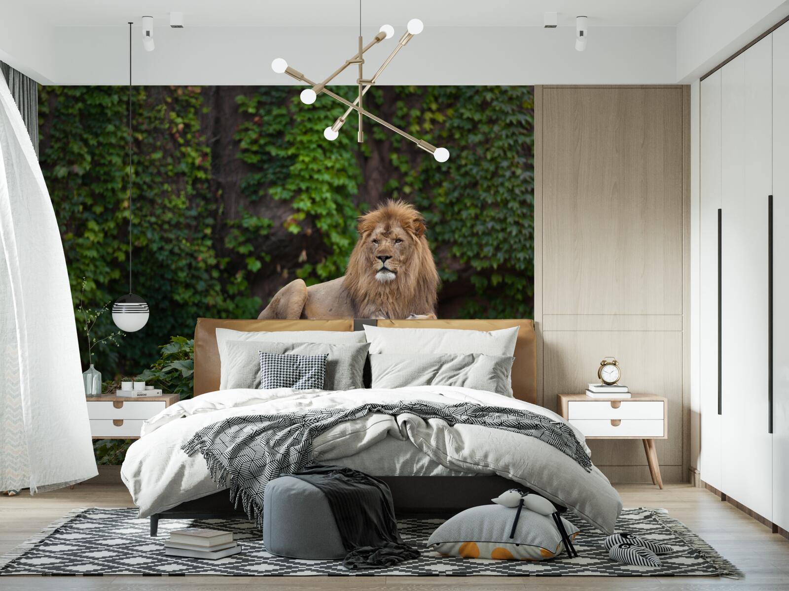 Papier peint un lion majestueux repose sur une pierre recouverte de mousse