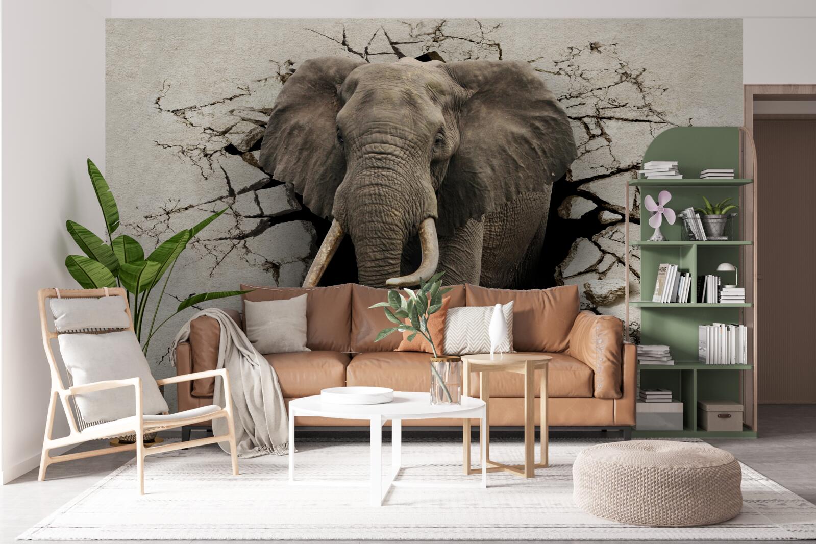 Papier peint l'éléphant franchit un obstacle