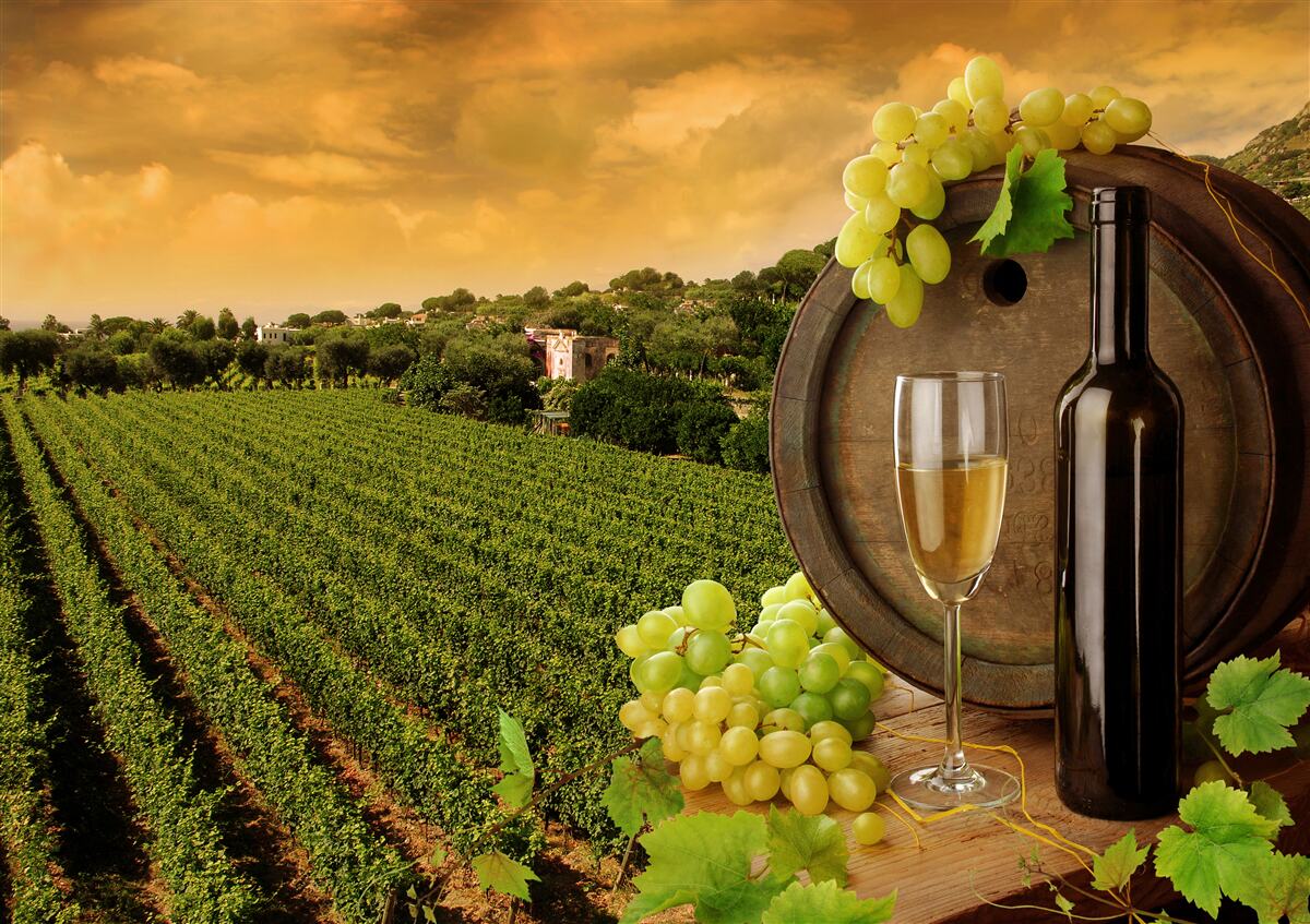 Papier peint coucher de soleil sur les vignobles