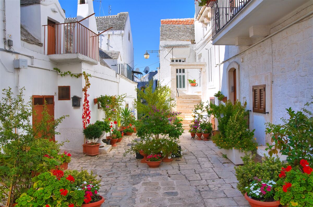 Papier peint rue de santorini, immergée dans la verdure