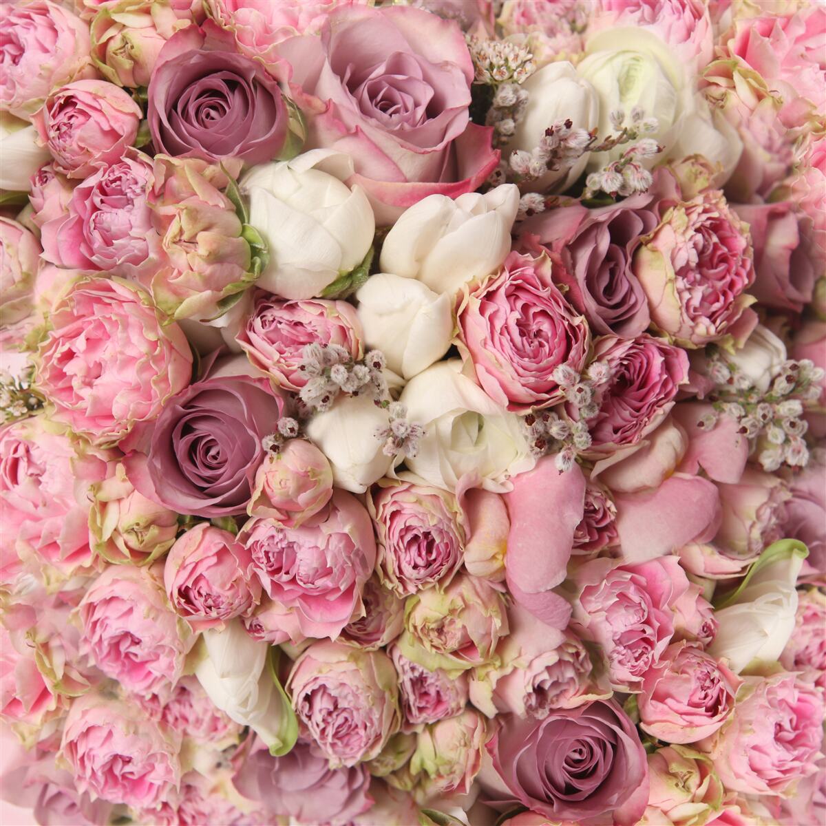 Papier peint un magnifique bouquet de fleurs variées