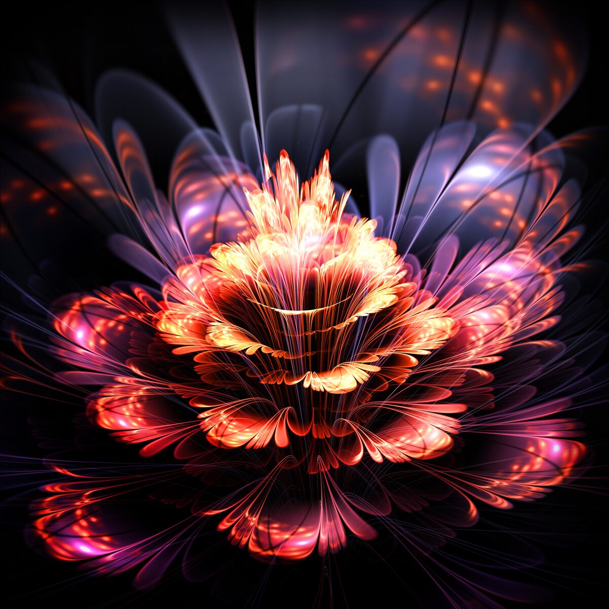 Papier peint une belle fleur qui brille comme une flamme