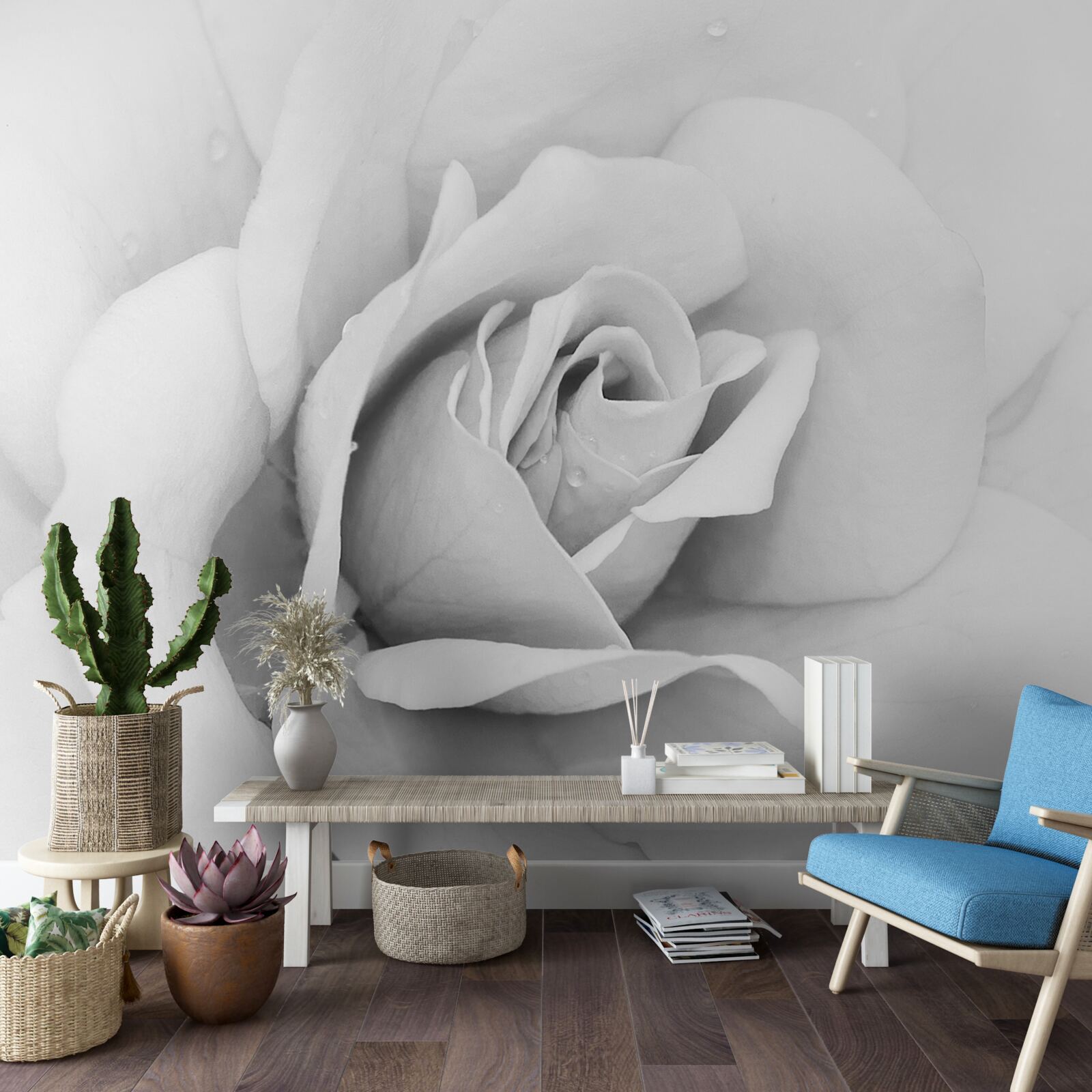 Papier peint image agrandie d'une rose blanche