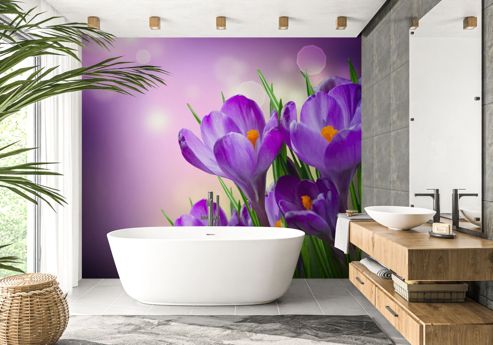 Papier peint des crocus violets attrayants