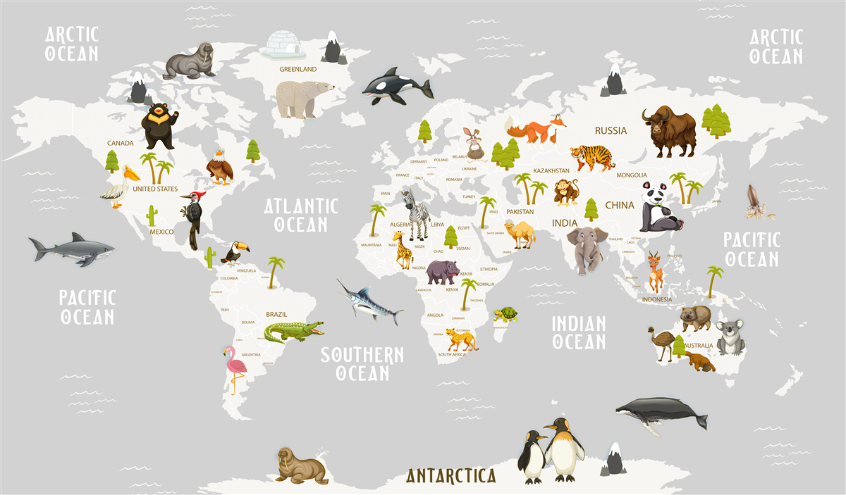 Papier peint carte montrant les animaux sauvages