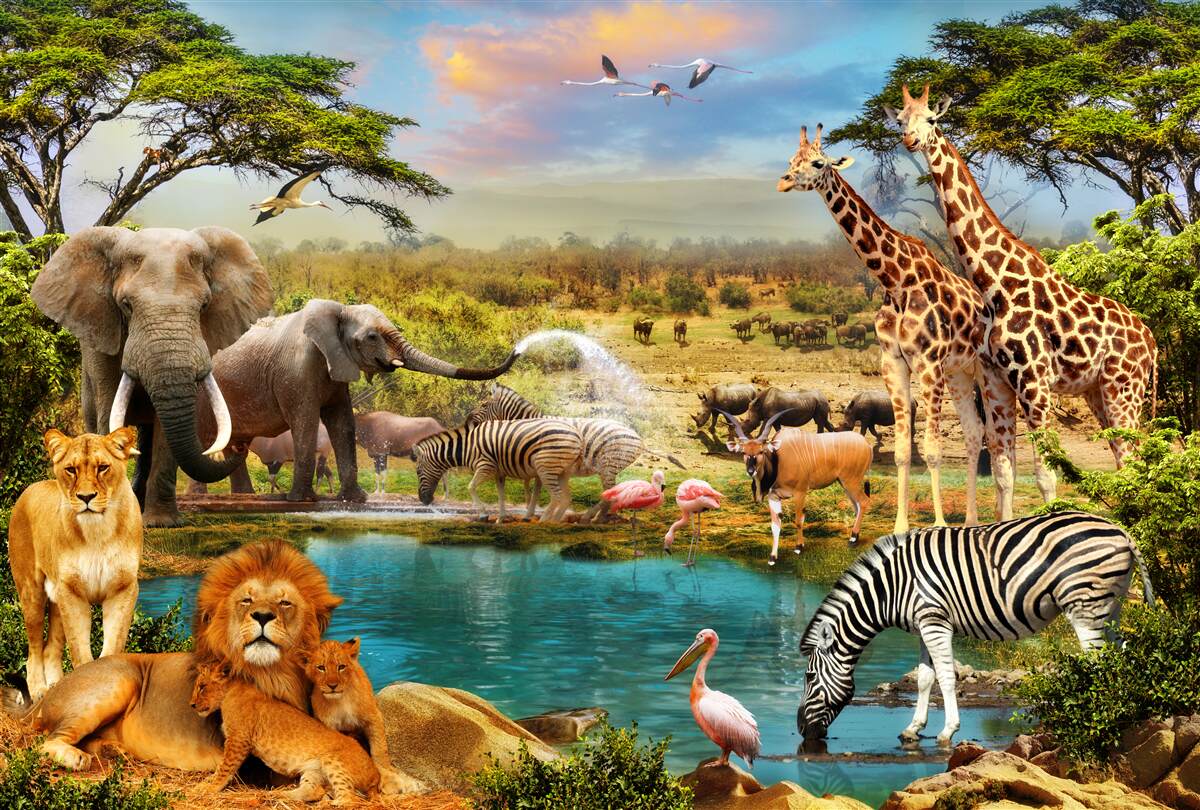 Papier peint un point d'eau avec des animaux africains