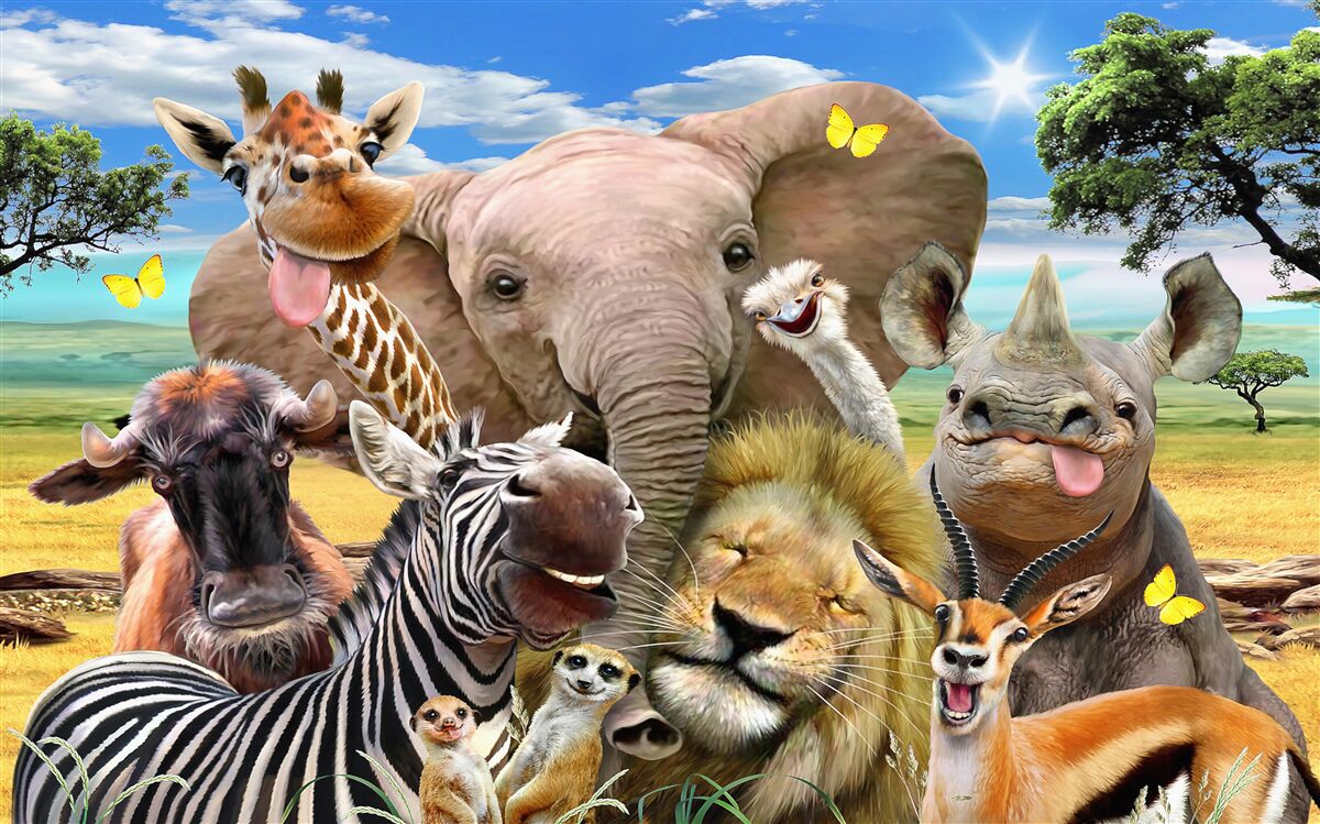 Papier peint selfie singulier de sympathiques africains