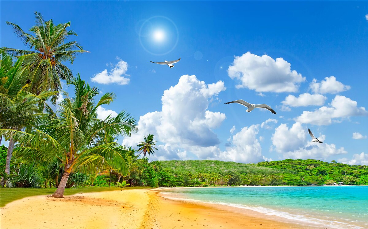 Papier peint île tropicale avec une plage sous le soleil