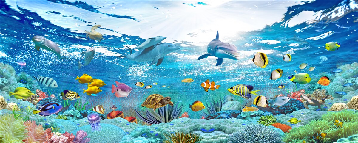 Papier peint l'incroyable univers sous-marin