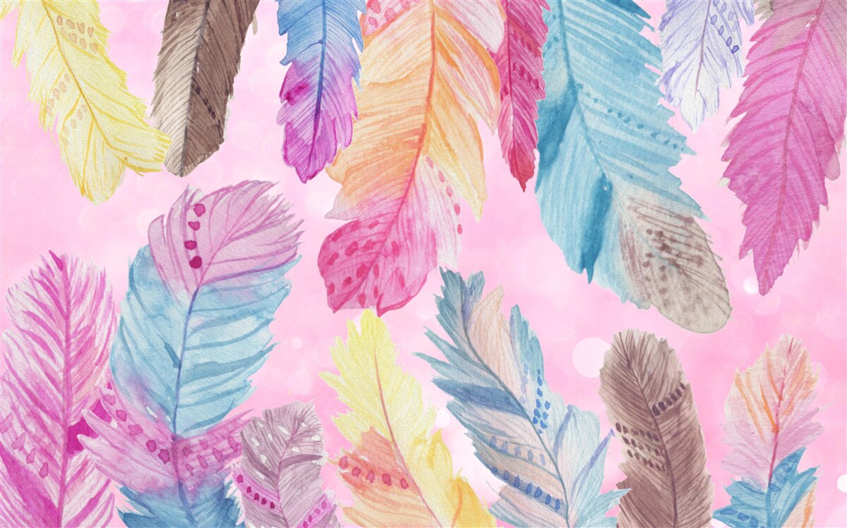 Papier peint plumes avec de magnifiques tons différents