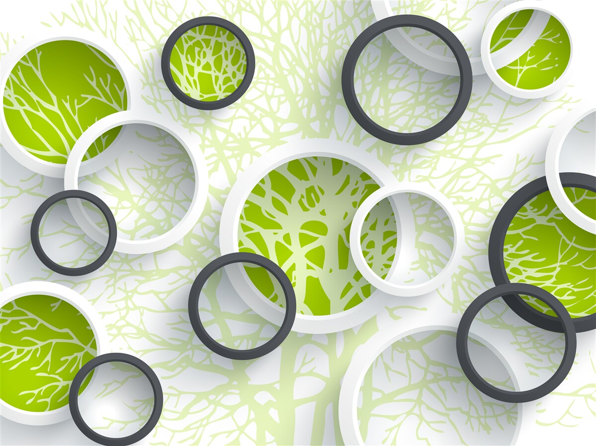 Papier peint les cercles de l'objectif reflètent le vert des feuilles de l'arbre